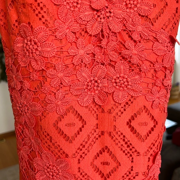 Nicole Miller Mango Lace Dress - Picture 5 of 5